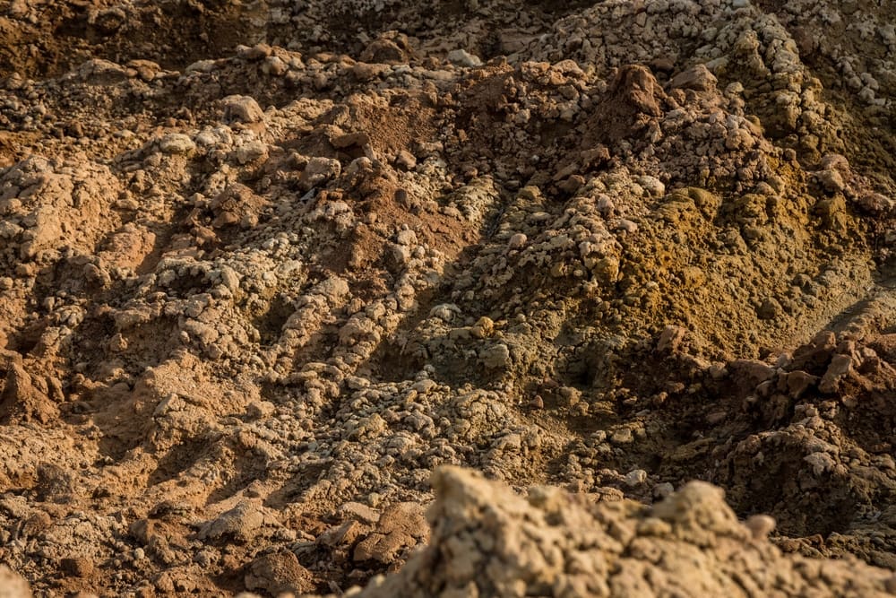 Dirt on Ground