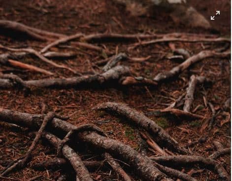 Root Barrier